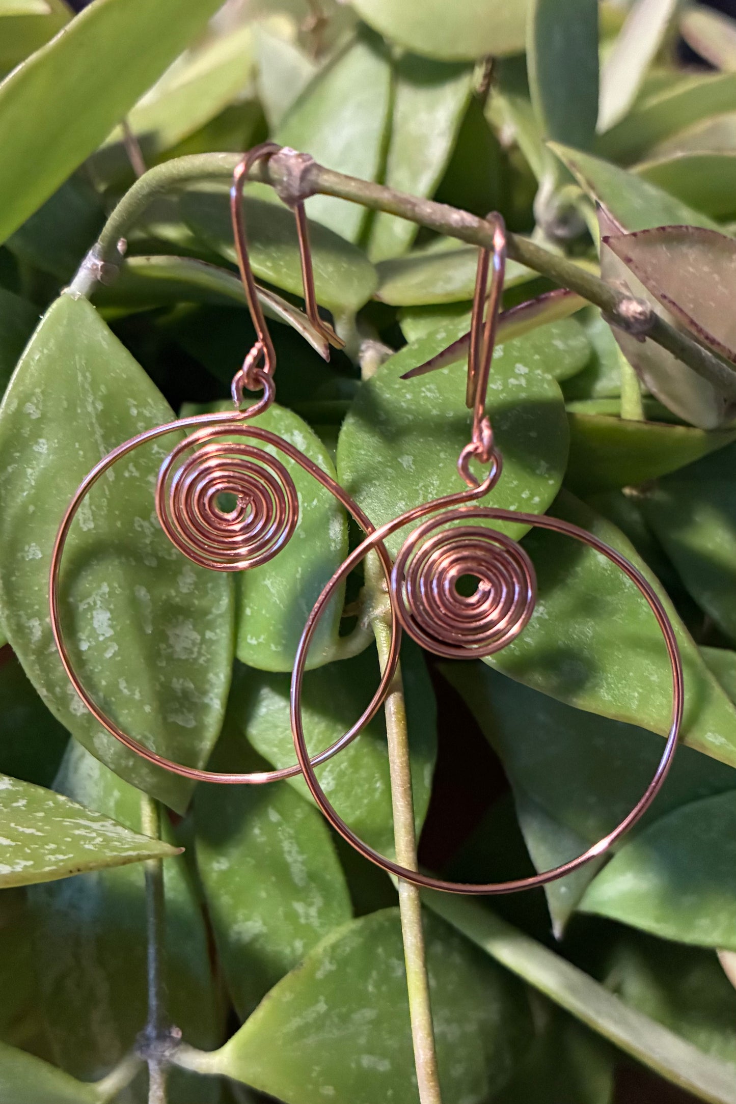 Circle Spiral Earrings