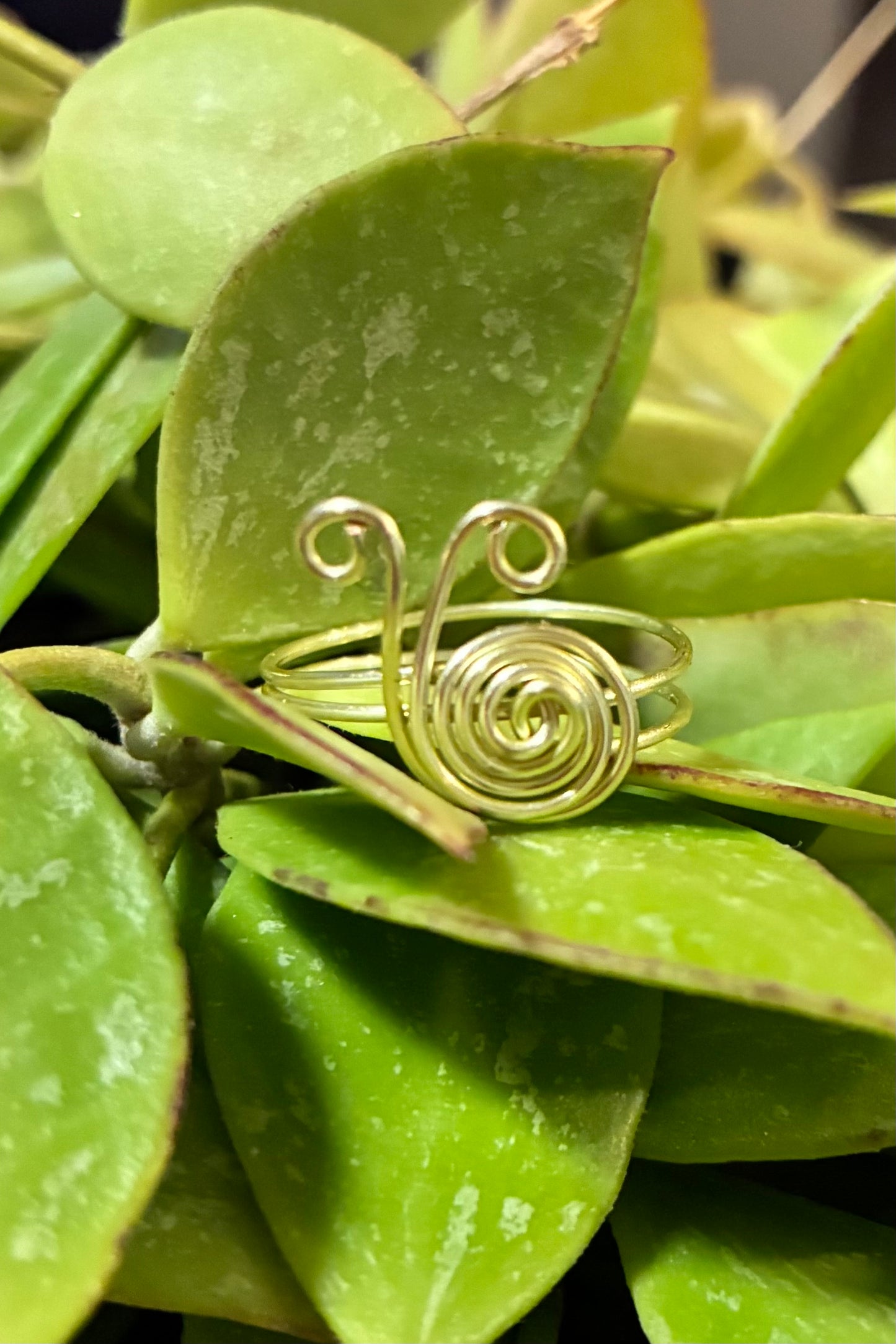Snail Ring