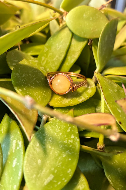 Small Single Beaded Ring