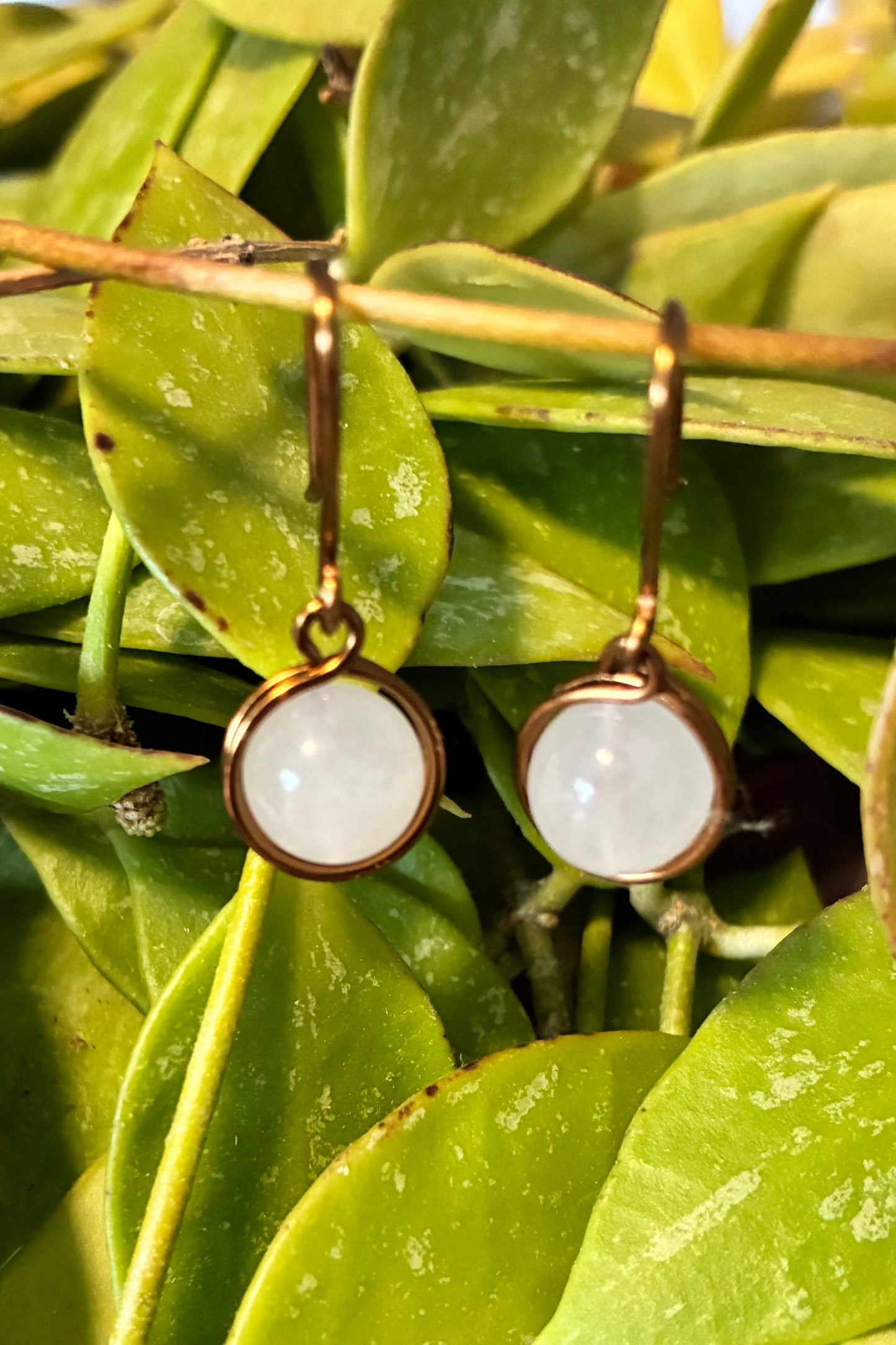 Small Single Bead Earrings